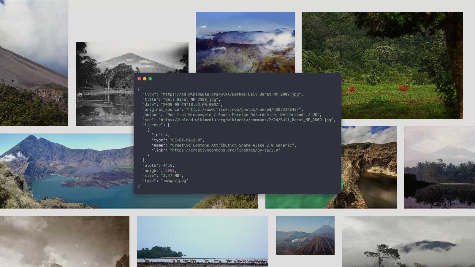 wiki-img-meta